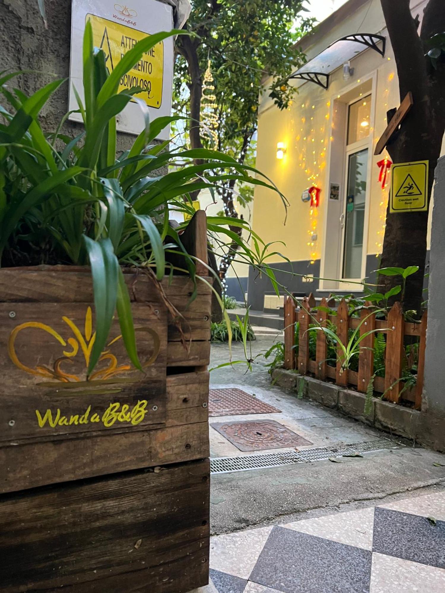 Wanda Napoli